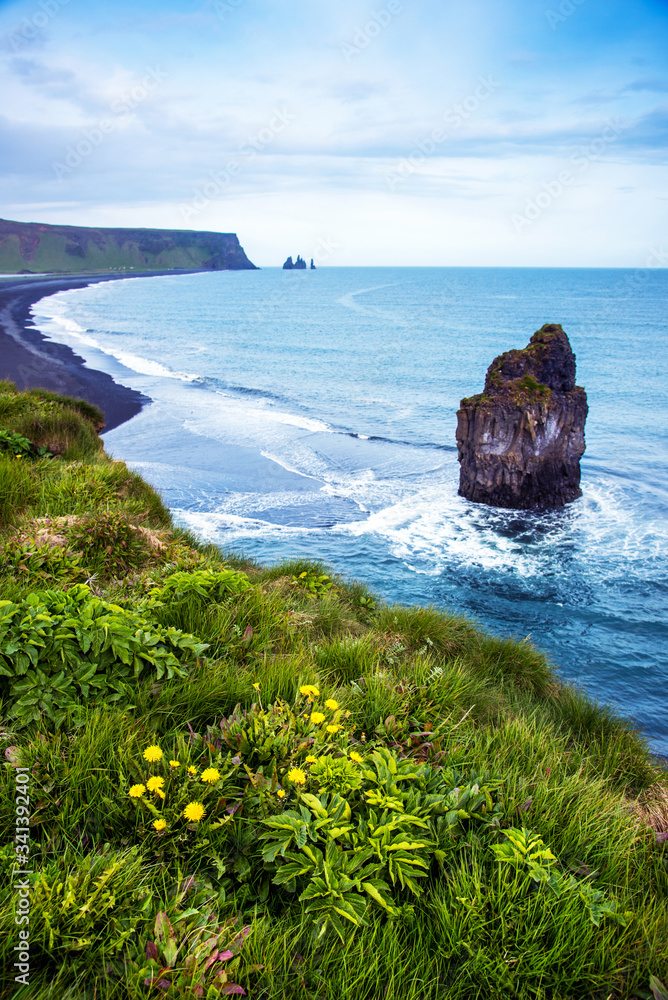 Magical amazing dramatic scenic landscape with yellow flowers and big alone stone in the middle of the ocean nearby Reynisdrangar Sea Cliffs, near cape Dyrholaey and Vik, Iceland. Exotic countries.