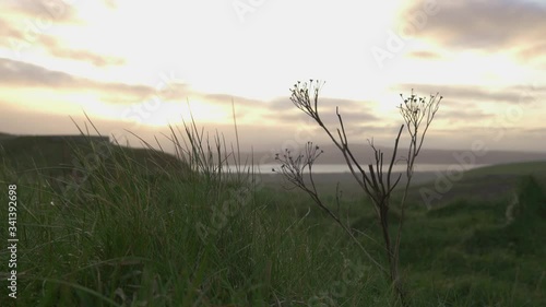 Ireland Cliffs of Moher at Sunrise
