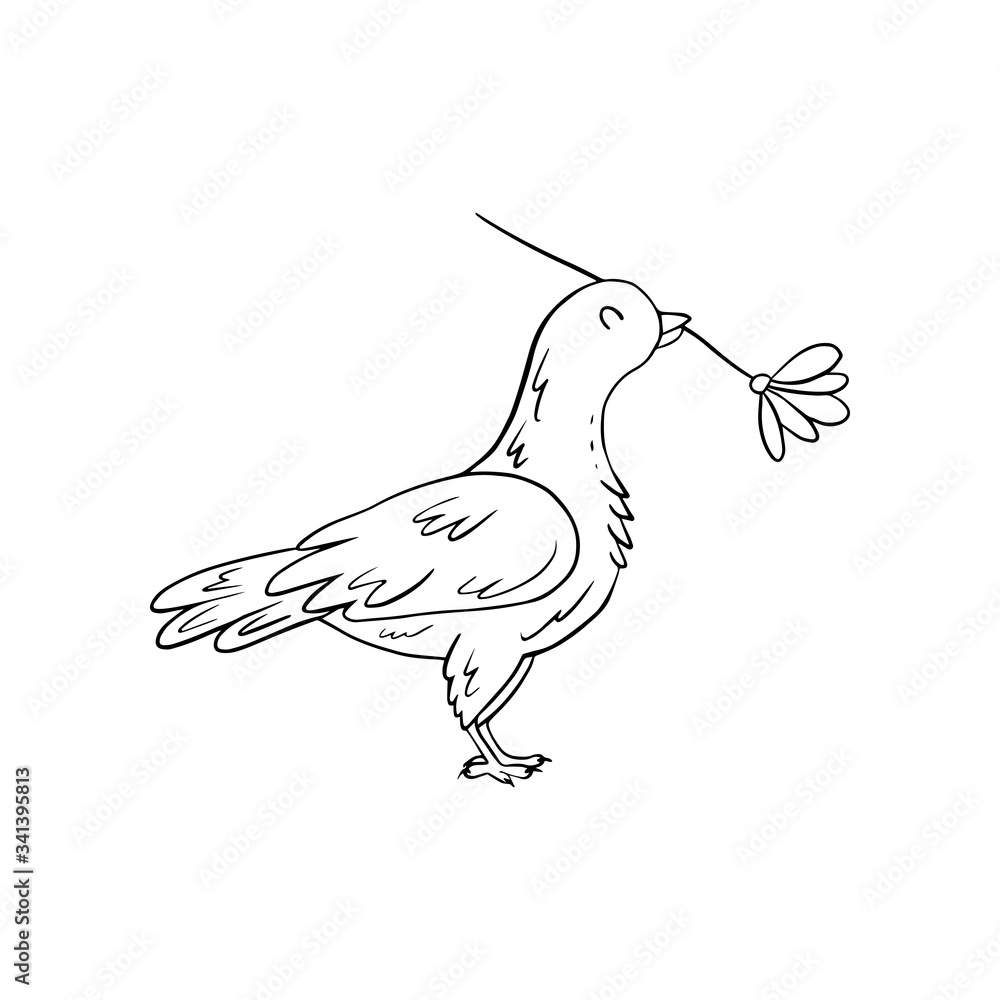 Obraz premium Сute dove holds flower in its beak. Coloring page for adult and kids in zen doodle outline style