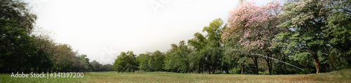 Beautiful nature view of green park on blurred greenery background with copy space using as background natural landscape, ecology, fresh cover page concept. © Fahkamram