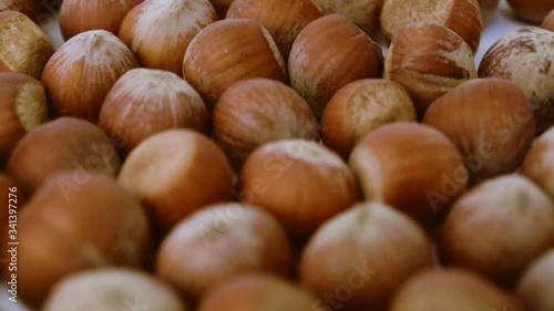 group of natural huzelnuts on a white background photo