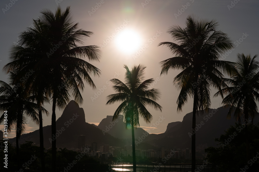 Obraz premium Sun setting over palm trees near Lagoa and Dois Irmaos in Rio de Janeiro
