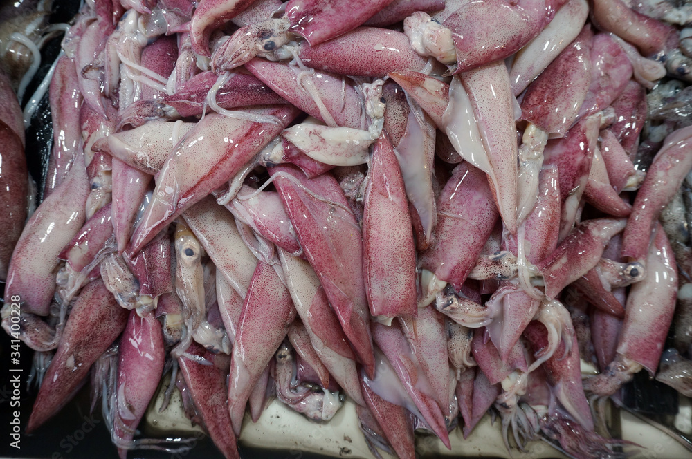 Fresh Squid on a market stall. Closeup fresh squid on the market.              