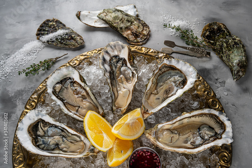 Opened Oysters Fines de Claire on plate and white wine on gray concrete texture background photo