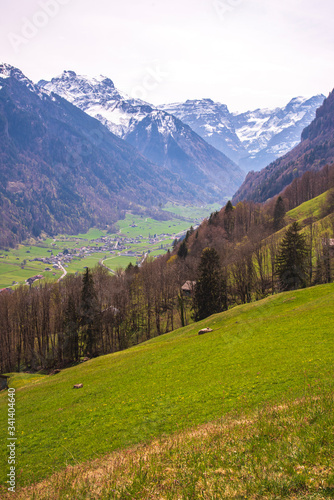 alpine meadow and valley in the alps photo