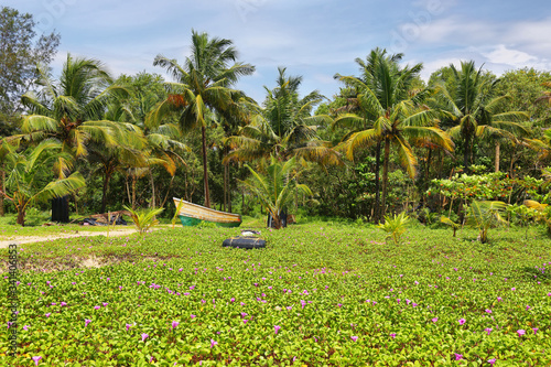 Tropical white sand beach of mararikulam, Kerala, India photo