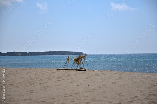 .plaża nadmorska trzcina © RECGO
