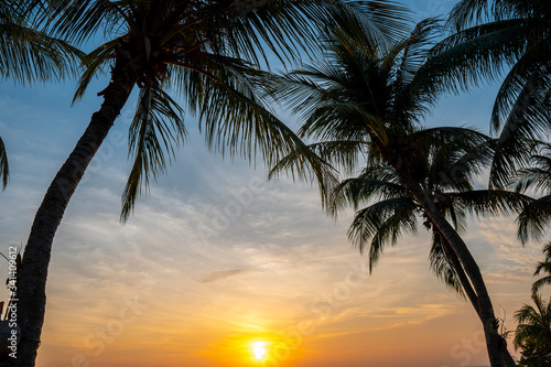 Romantic sunset with palm trees on the beach