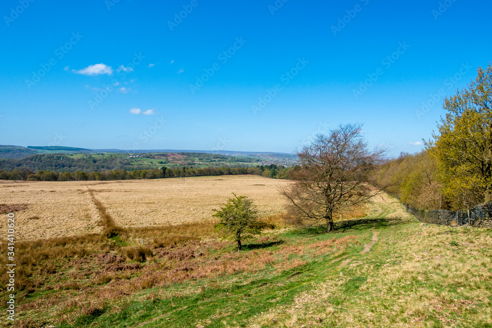 spring landscape with blue sky and clouds in Yorkshire spring landscape with blue sky and clouds in Yorkshire