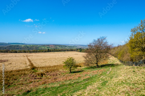 spring landscape with blue sky and clouds in Yorkshire