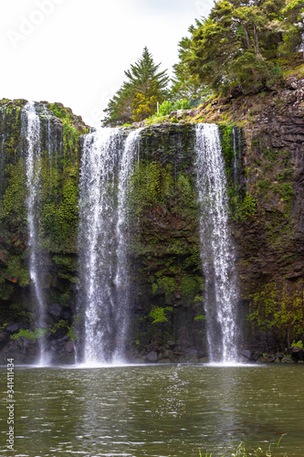 Whangarei waterfall. North island. New Zeland