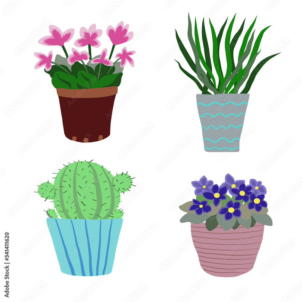 Vector illustration houseplants in pot isolated on white. Aloe, cyclamen, cactus, violet flower. For magazine, poster, card, web pages. Vector illustration houseplants in pot isolated on white. Aloe, cyclamen, cactus, violet flower. For magazine, poster, card, web pages.