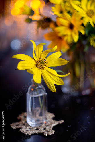 Evening still life with yellow Jerusalem artichoke on a background with bokeh