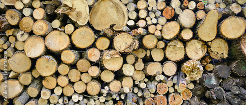 A pile of logs for firewood piled by a wall