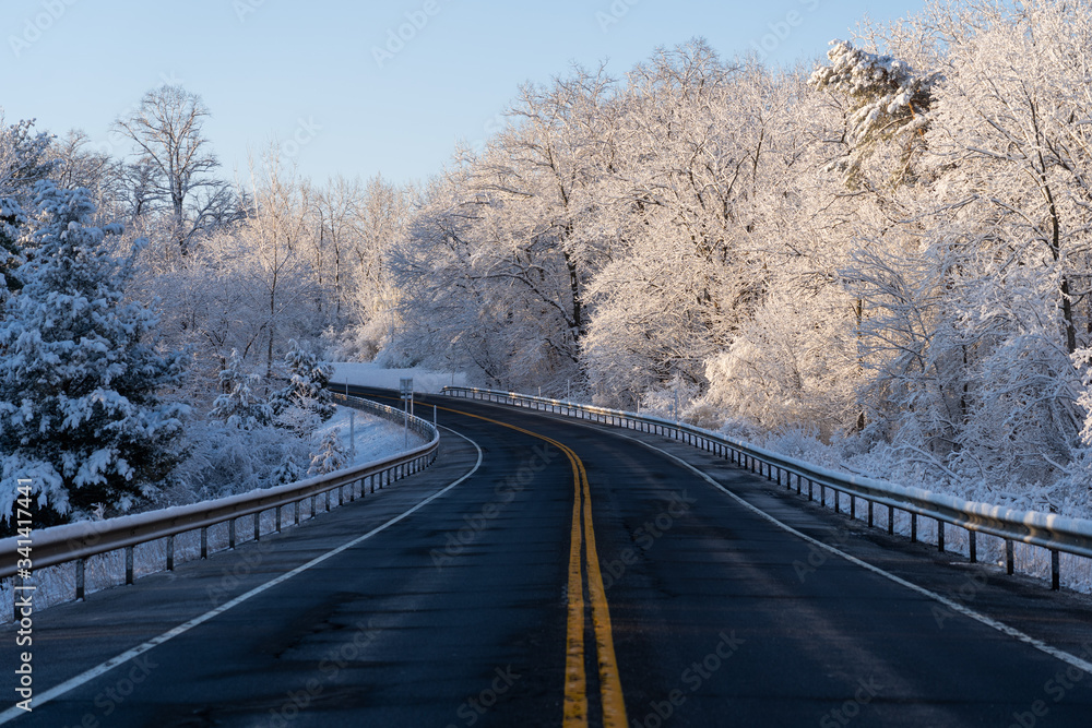 Obraz premium Road in forest in winter