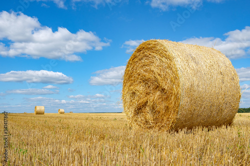 hay roll on the field background blue sky with clouds