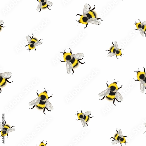 Bee seamless pattern on white background. Illustration of sketched flying bees.