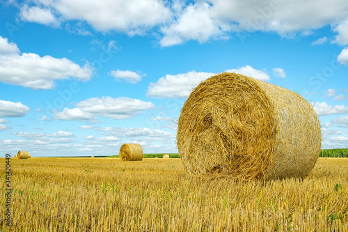 side view of a roll of hay located on the field among other similar ones