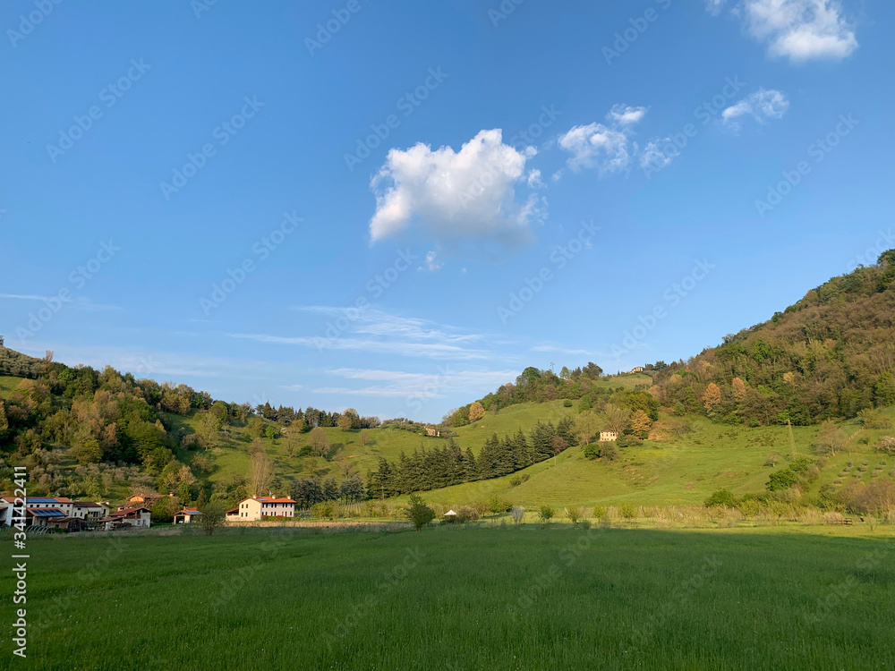 rural landscape with a house