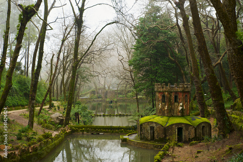 Lago Parque da Pena photo