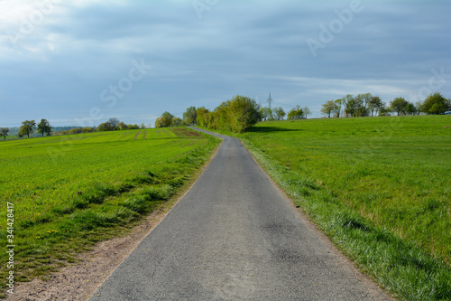A empty country road between green nature