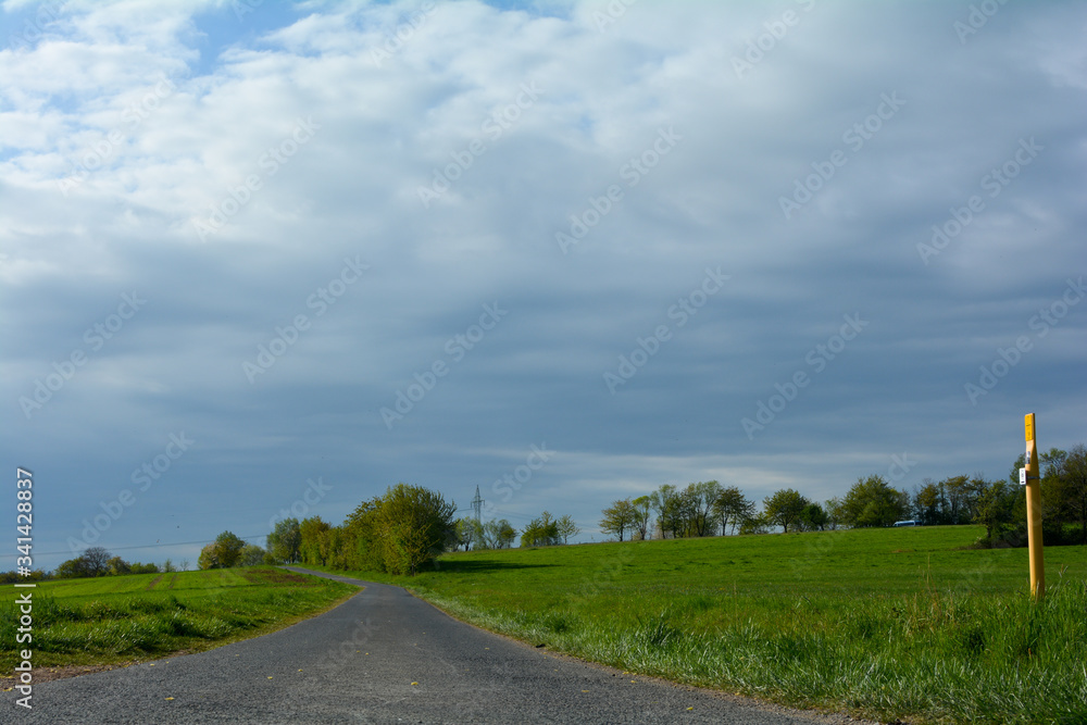 A narrow empty country road between green nature A narrow empty country road between green nature