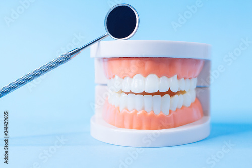 Close up macro shoot of teeth model with dental mirror  on blue background.