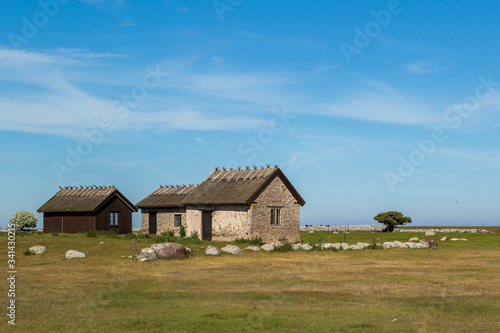 Group of simple, rural houses with traditional reed roofs near the southern tip of the island of Öland, Sweden © Bernhard