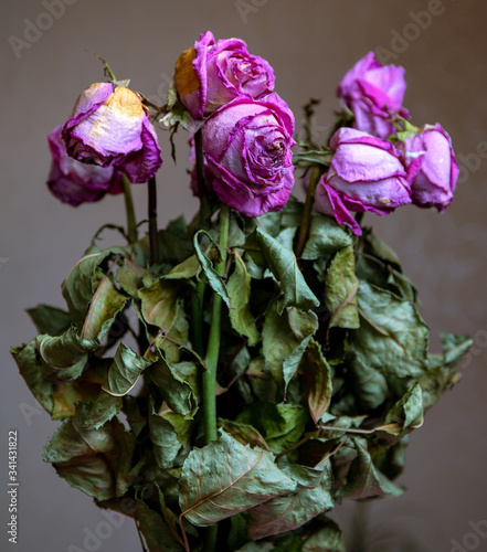 Bouquet of dry pink roses, with dry leaves close-up