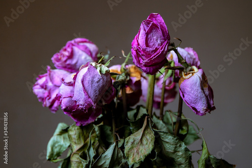 Bouquet of dry pink roses, with dry leaves close-up