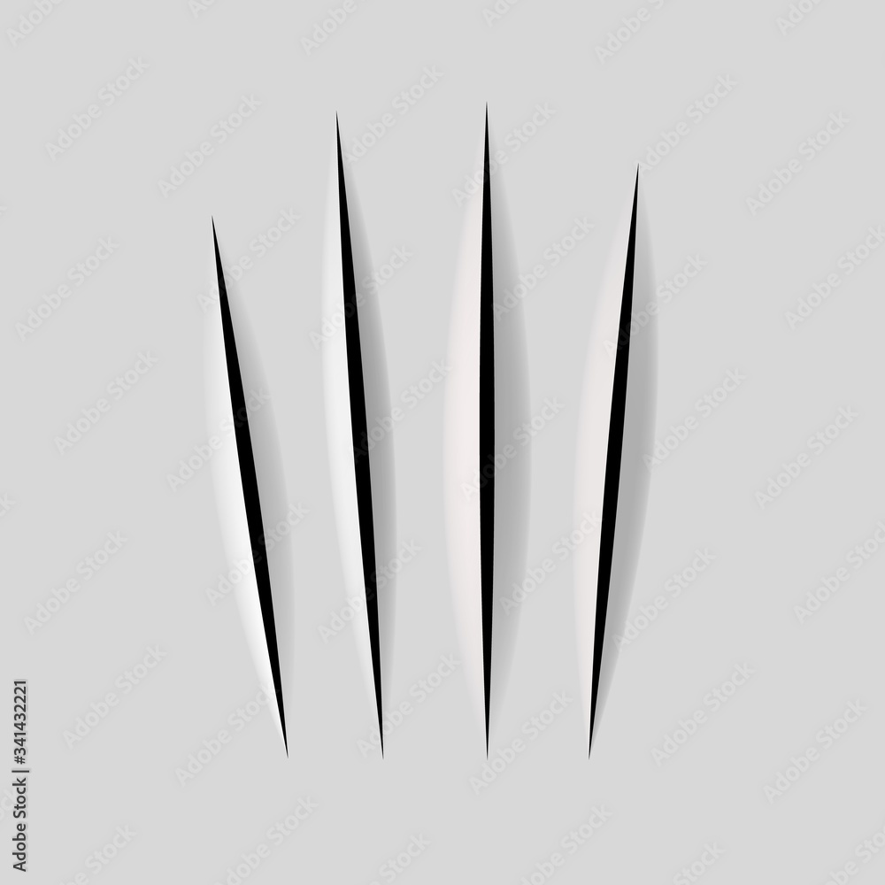 Realistic scratch claws of animal. Hole in sheet of paper with torn edges. Realistic scratch claws of animal. Hole in sheet of paper with torn edges.