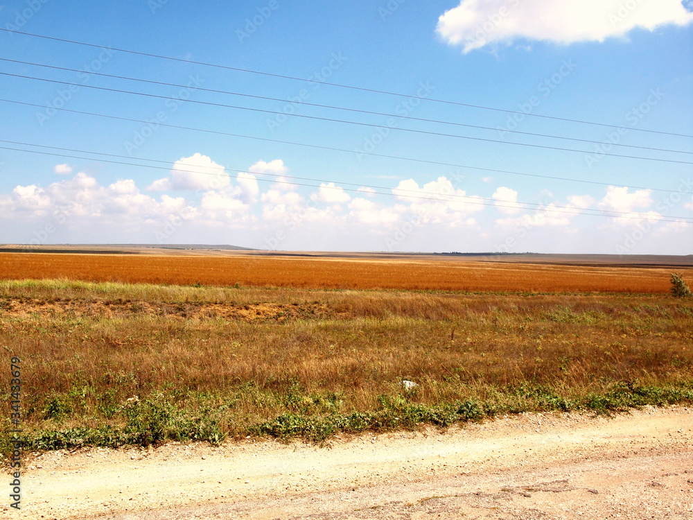 Fototapeta premium Beautiful landscapes of golden fields in summer with white clouds