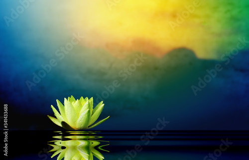 Lotus flower with sunrise background.