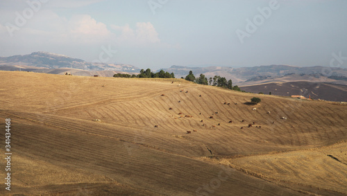 Rural buildings in the Sicilian hinterland