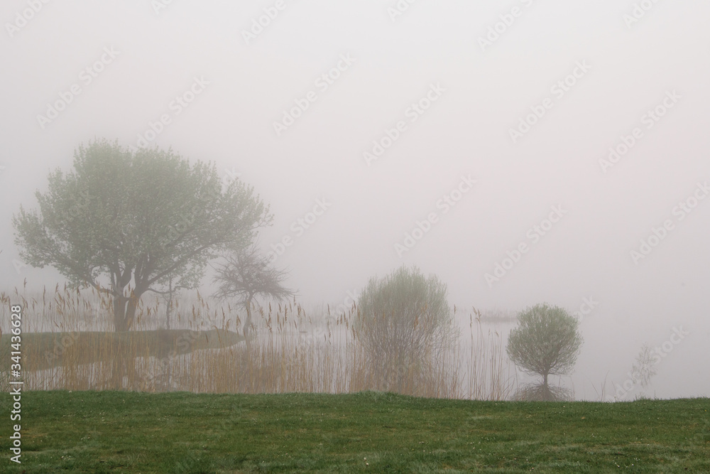 Mist over water and tree reflection at lake. Nature and landscape. Foggy and misty scenery. Mist over water and tree reflection at lake. Nature and landscape. Foggy and misty scenery.