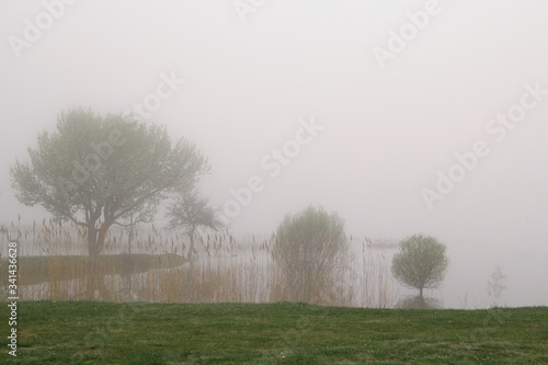 Mist over water and tree reflection at lake. Nature and landscape. Foggy and misty scenery.