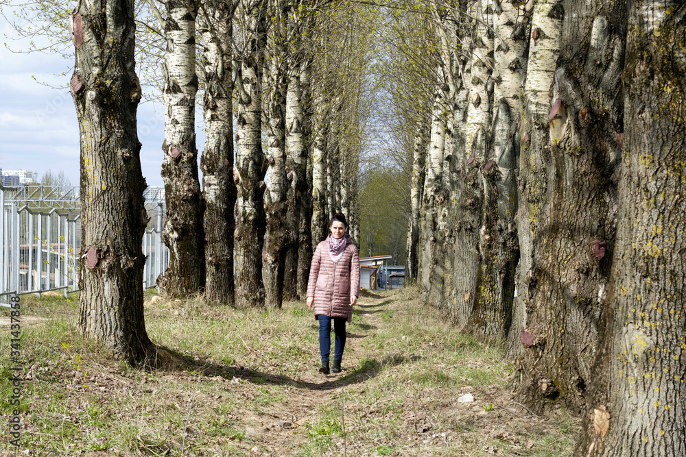 A girl walks along a spring poplar alley. It goes between two rows of tall trees. Dressed in a spring jacket, a scarf around her neck. Around the blossoming greens on the trees.