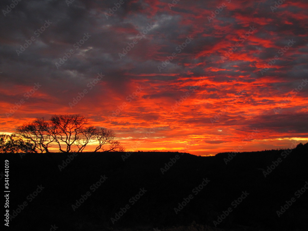 Obraz premium por do sol no cerrado 2