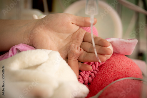 Premature newborn baby in incubator  ICU