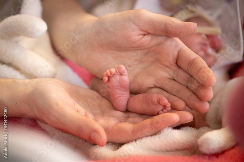 Premature newborn baby in incubator, ICU