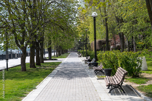 tiled sidewalk and wooden benches in a park in the city