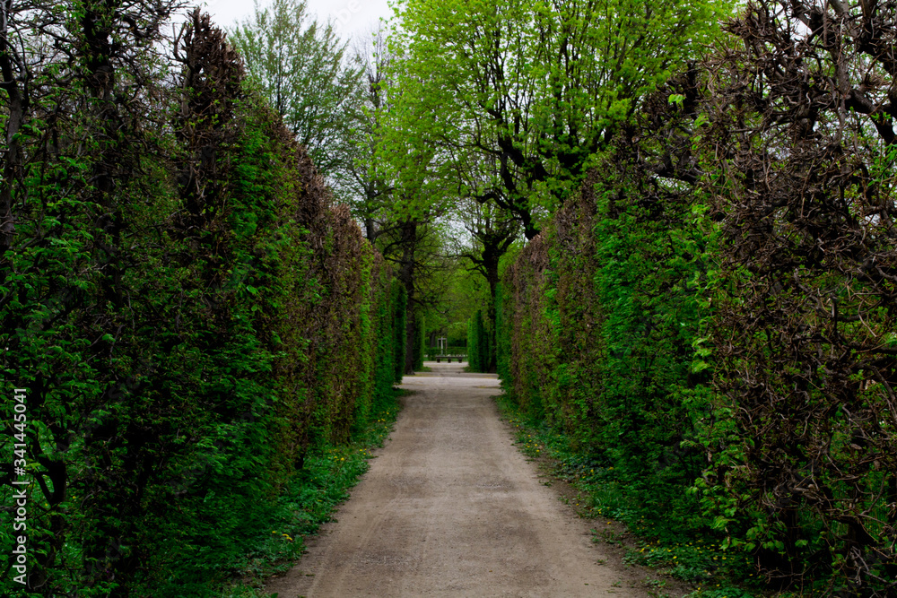 Allée de jardins