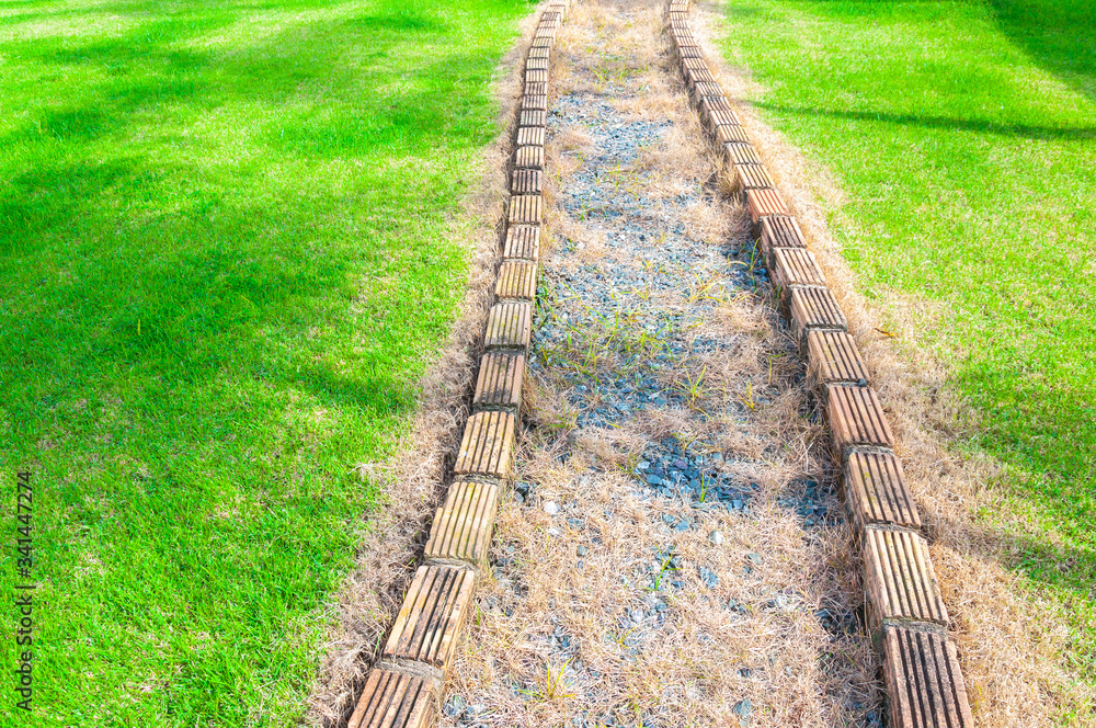 Walkway curve on grass at garden,A path, walkway from the park Walkway curve on grass at garden,A path, walkway from the park