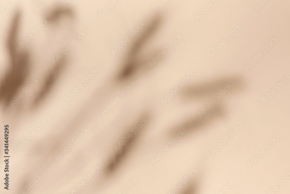 Top view of wheat and rye ears shadow on sand color beige background. Flat lay. Minimal summer and autumn concept with leaf Top view of wheat and rye ears shadow on sand color beige background. Flat lay. Minimal summer and autumn concept with leaf
