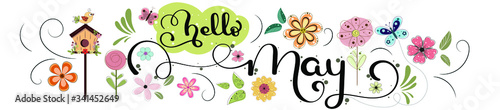 Hello May. MAY month vector with flowers, birds and leaves. Decoration floral. Illustration month may	