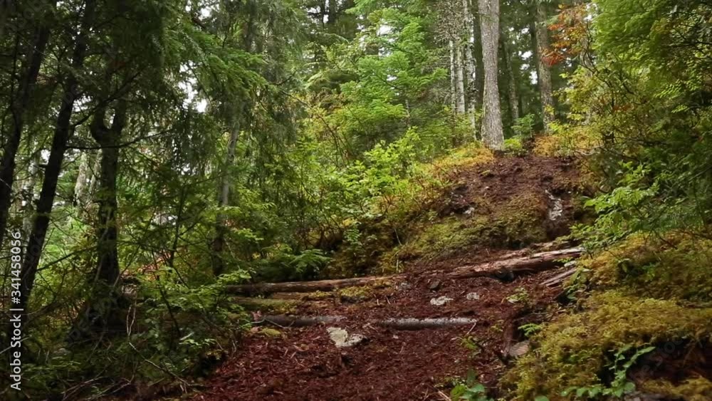 Man riding downhill mountain bike in Whistler forest.
