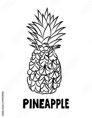 A pineapple with the leaves and peel. A tropical fruit is hand-drawn and isolated on a white background. Black- white vector illustration in Doodle style. Pineapple sketch in the style of a free hand.