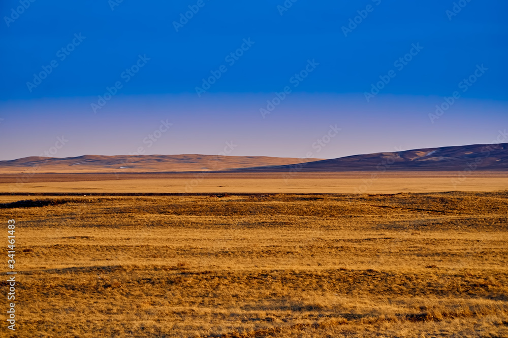 Panoramic view: beautiful spring landscape: spring huge great steppe wakes up from winter sleep - snow and ice just melted, sunset, Kazakhstan