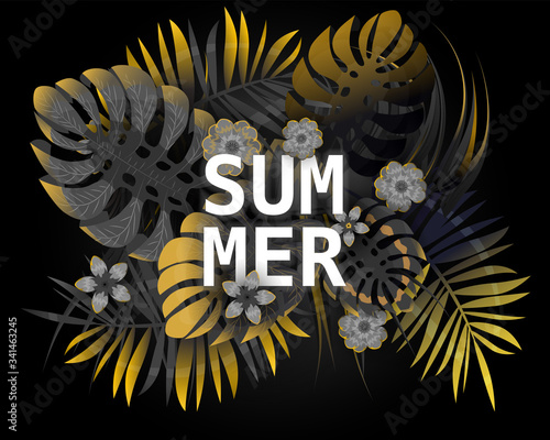 Summer tropical leaves exotical plants palm jungle leaf