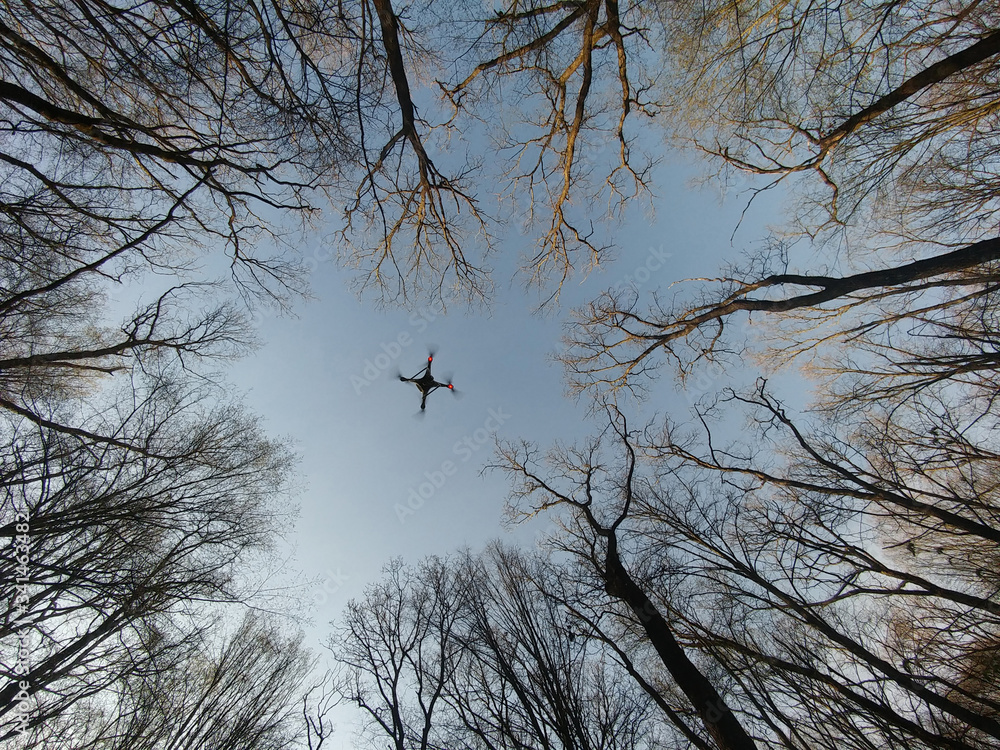 A drone in flight between trees in a spring forest.
White drone in flight among forest. Around spring trees.